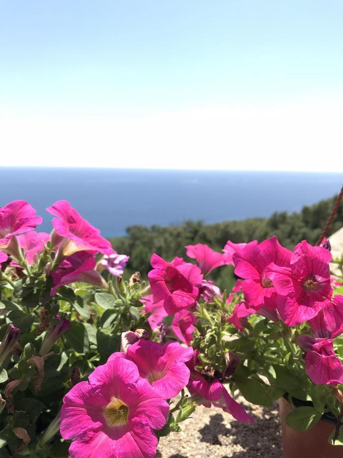 Il Terrazzo - Galatea Casa Vacanze Gagliano del Capo Exteriör bild